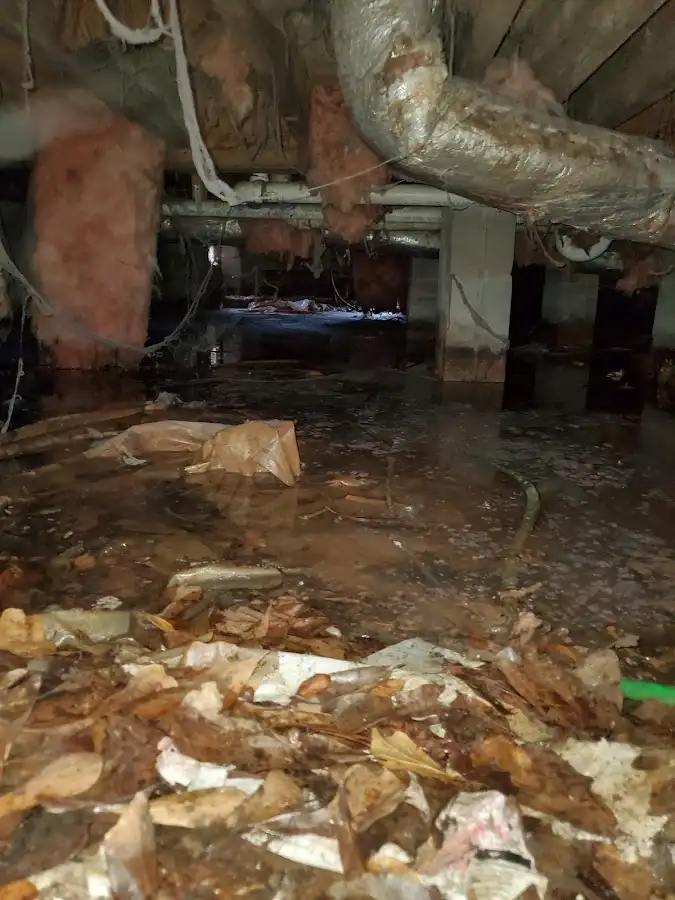 Crawl space flood assessment for Commercial Water Damage Restoration in Burke Centre