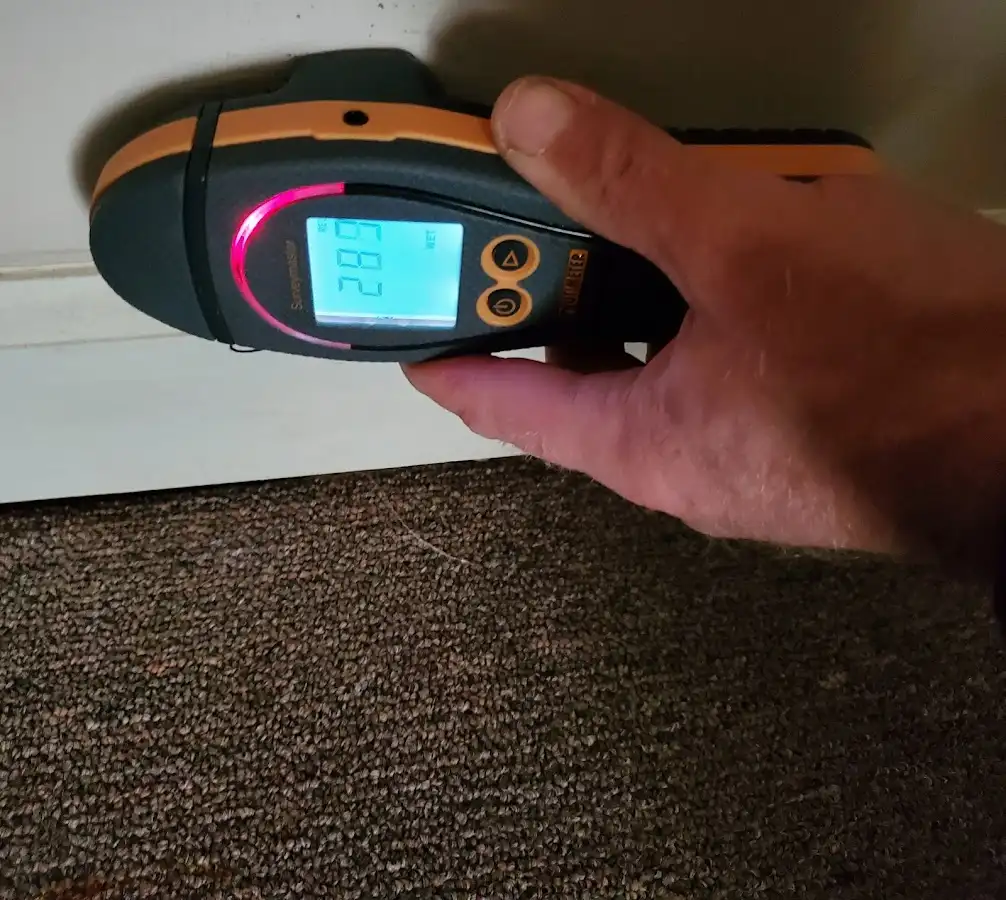 Moisture detection at baseboard during Sewage Cleanup & Sanitation in Burke Centre